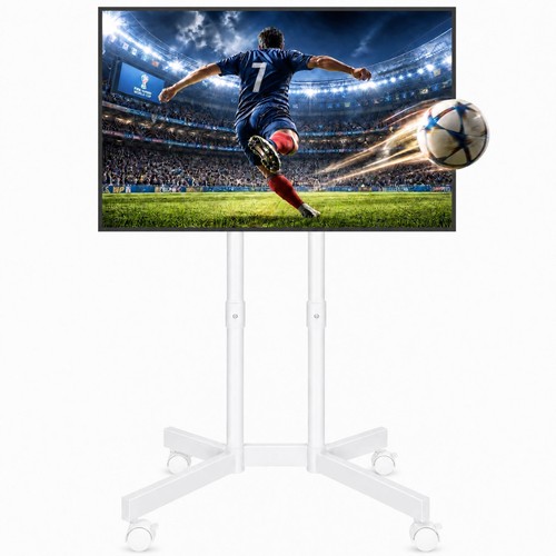 Bontec supporto mobile su - supporto,